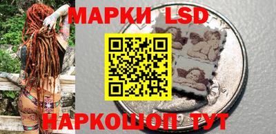гидра Нальчик