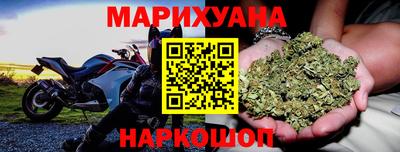 гидра Нальчик