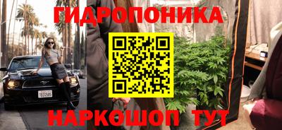 гидра Нальчик