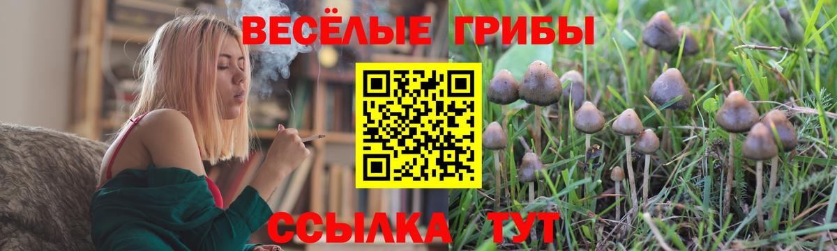 Псилоцибиновые грибы MAGIC MUSHROOMS Усть-Илимск
